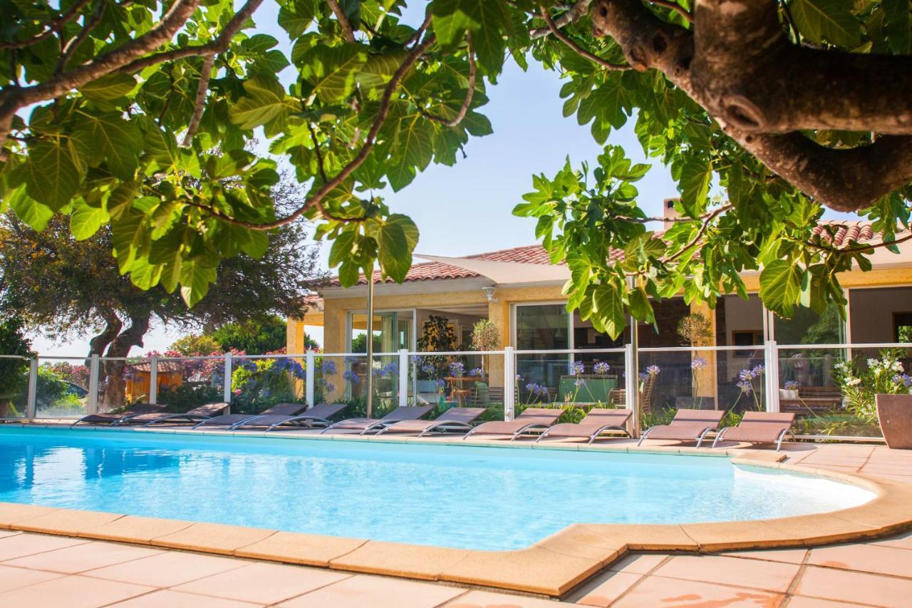 maison kiwi avec piscine chauffée terrasse jardin et bbq à Calvi Calvi  Esterno foto